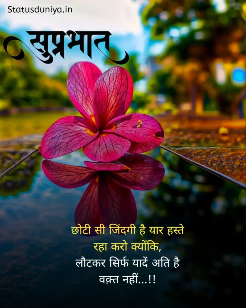 Good Morning Status In Hindi
Good Morning Ke Status
Good Morning Status
Good Morning Ka Status
Good Morning Status For Whatsapp
Good Morning Status Hindi