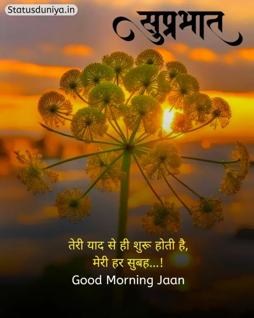 Good Morning Status In Hindi
Good Morning Ke Status
Good Morning Status
Good Morning Ka Status
Good Morning Status For Whatsapp
Good Morning Status Hindi