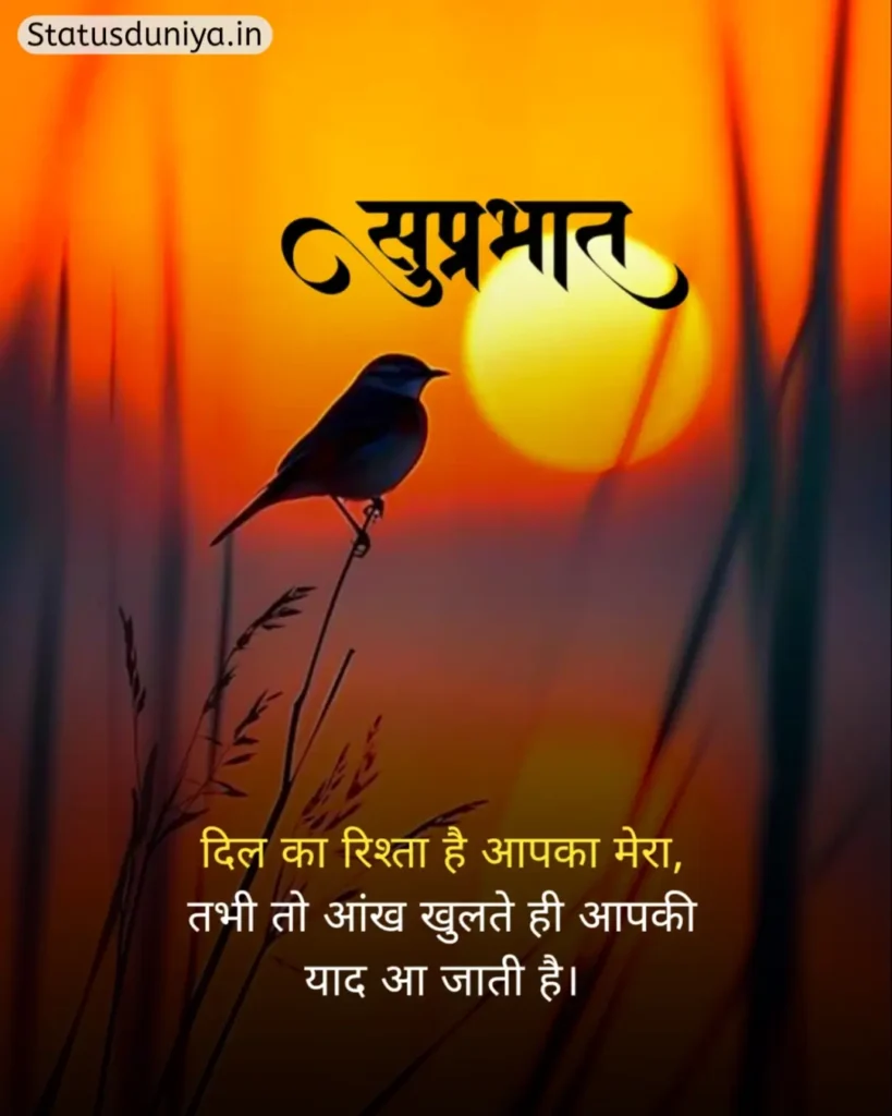 Good Morning Status In Hindi
Good Morning Ke Status
Good Morning Status
Good Morning Ka Status
Good Morning Status For Whatsapp
Good Morning Status Hindi