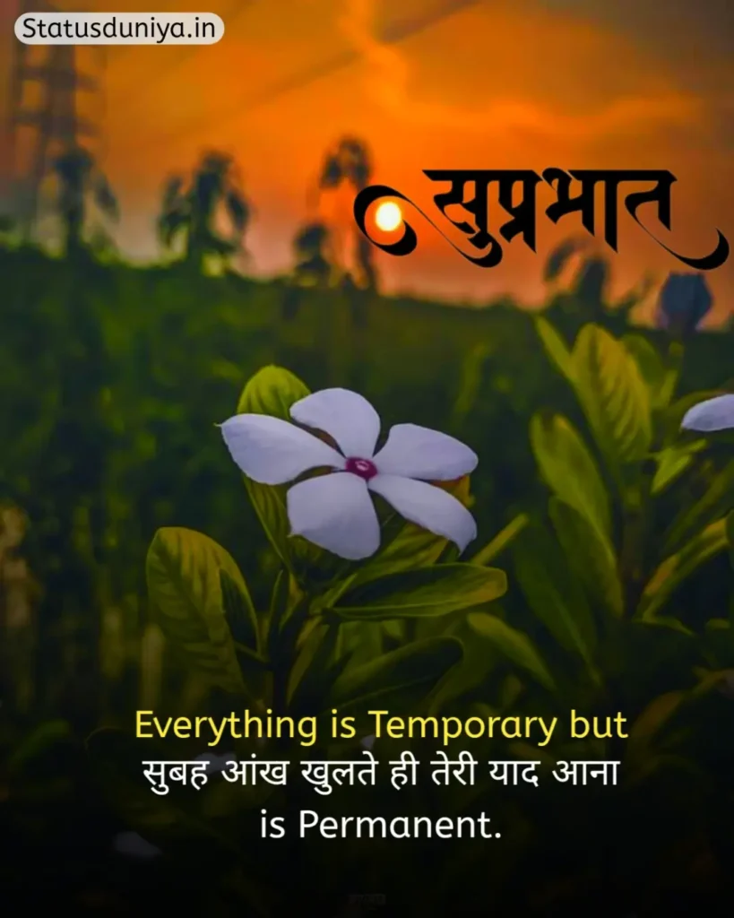 Good Morning Status In Hindi
Good Morning Ke Status
Good Morning Status
Good Morning Ka Status
Good Morning Status For Whatsapp
Good Morning Status Hindi