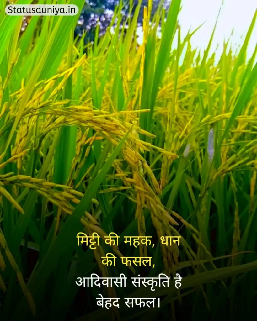 आदिवासी संस्कृति शायरी
Adivasi Sanskriti Shayari
Adivasi Culture Shayari
आदिवासी संस्कृति स्टेटस