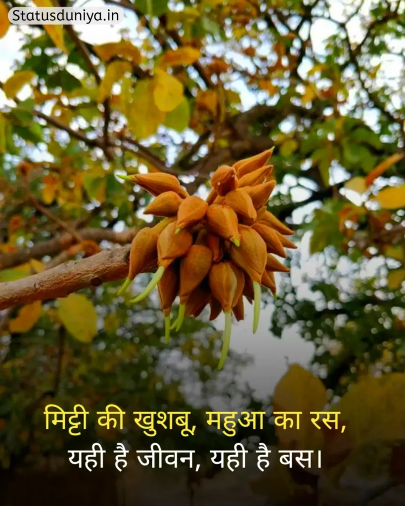 आदिवासी संस्कृति शायरी
Adivasi Sanskriti Shayari
Adivasi Culture Shayari
आदिवासी संस्कृति स्टेटस