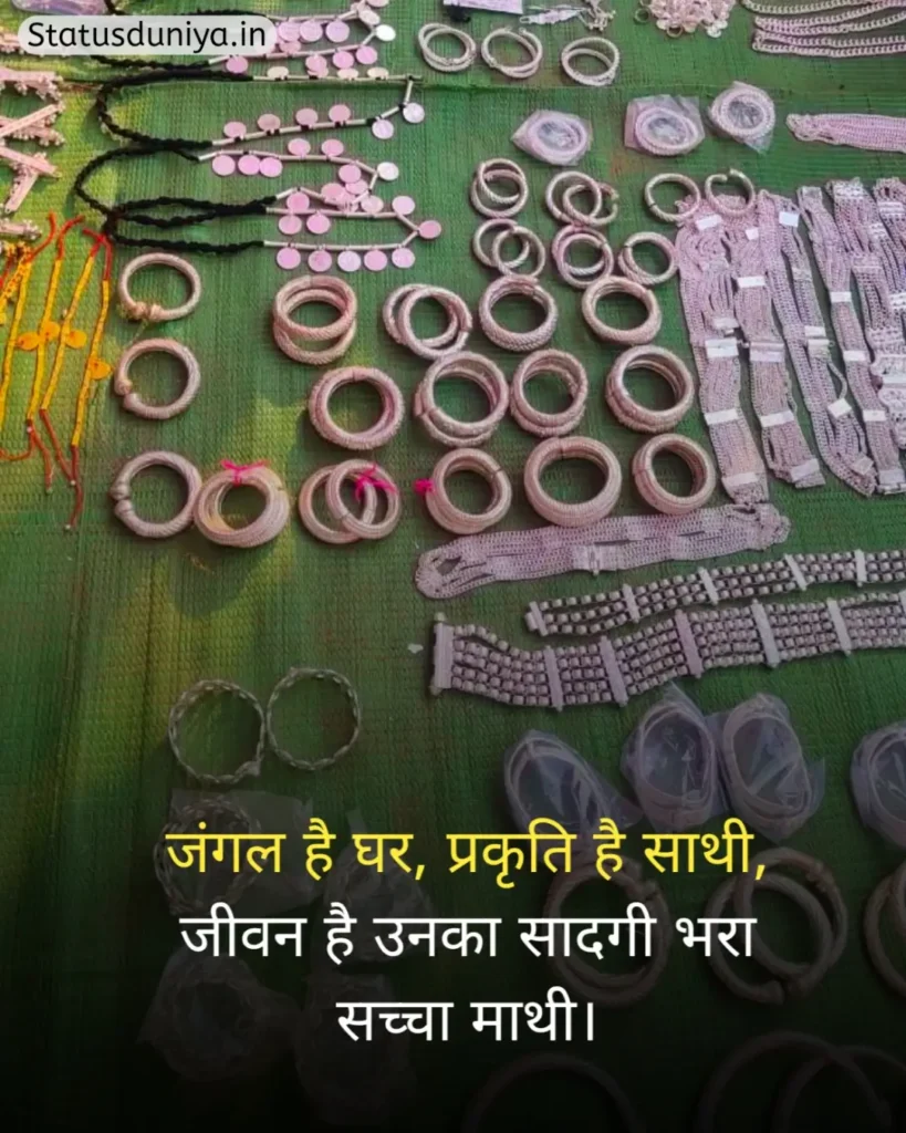 आदिवासी संस्कृति शायरी
Adivasi Sanskriti Shayari
Adivasi Culture Shayari
आदिवासी संस्कृति स्टेटस